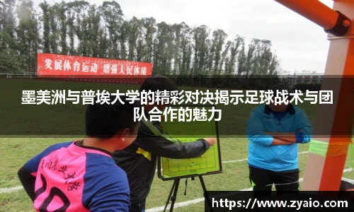 今年会官网