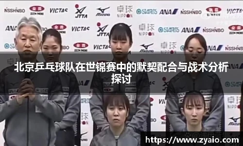 今年会官网